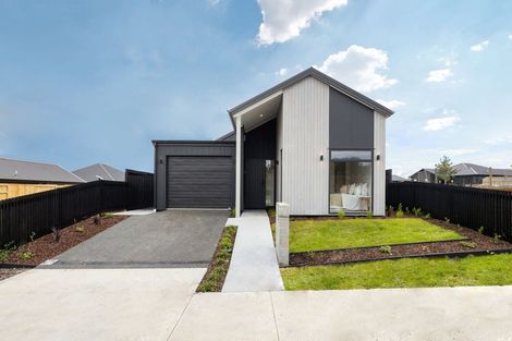 Photo of property in 17 Auburn Green, Peacocke, Hamilton, 3206