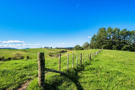 Photo of property in 424a Hot Springs Road, Tahawai, Katikati, 3178