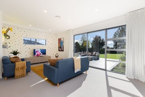 Photo of property in 6 Ashfield Place, Richmond, 7020