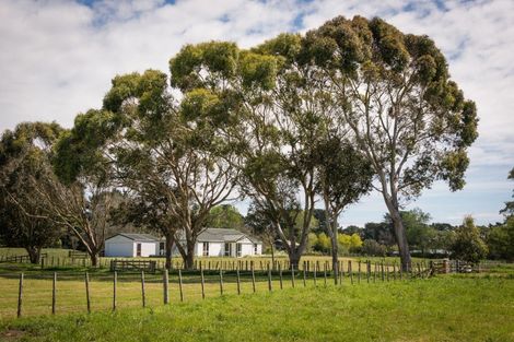 Photo of property in 450 Foxton Shannon Road, Foxton, 4893