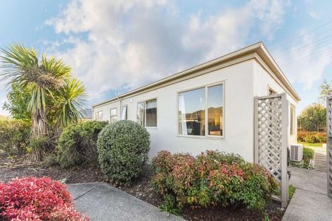 Photo of property in 87 Arbor-lea Avenue, Richmond, 7020