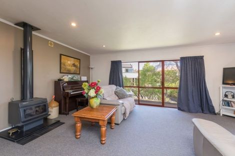 Photo of property in 15 Idesia Grove, Richmond, 7020