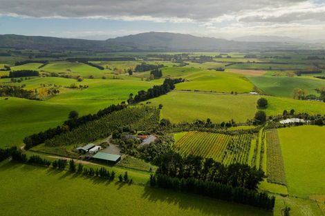 Photo of property in 185 Sinclair Road, Cheviot, 7381