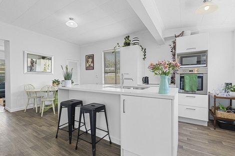 Photo of property in 141 Lemon Street, Strandon, New Plymouth, 4312