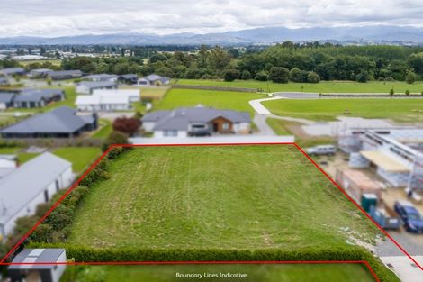 Photo of property in 10 Coralie Place, Lansdowne, Masterton, 5810
