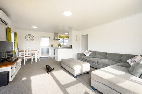 Photo of property in 38 Newton Place, Westbrook, Palmerston North, 4412