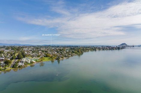 Photo of property in 25 Harvey Street, Tauranga South, Tauranga, 3112