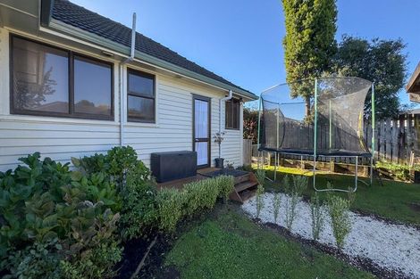 Photo of property in 16 Goodwin Street, Tirau, 3410