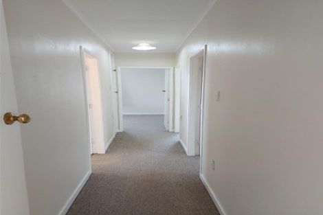 Photo of property in 41 Paisley Street, Awapuni, Palmerston North, 4412