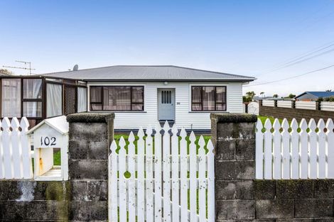 Photo of property in 102 Brecon Road, Stratford, 4332