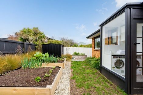 Photo of property in 88b Tomahawk Road, Andersons Bay, Dunedin, 9013