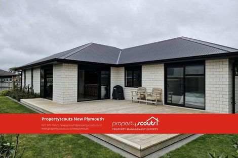 Photo of property in 32 Nikau Street, Inglewood, 4330