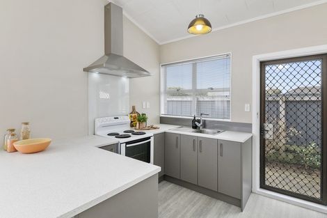 Photo of property in 190 Tiro Tiro Road, Levin, 5510