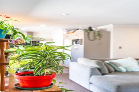 Photo of property in 79d Albert Street, Hamilton East, Hamilton, 3216