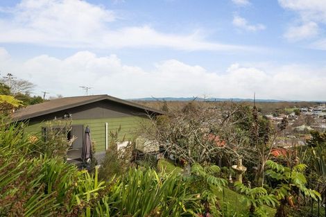 Photo of property in 28 Wood Street, Paeroa, 3600