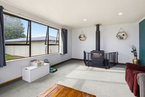 Photo of property in 17 Neptune Street, Dannevirke, 4930