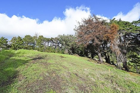Photo of property in 99 Birdsall Road, Whangateau, 0985