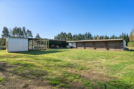 Photo of property in 1316 Tramway Road, Dunsandel, Leeston, 7682