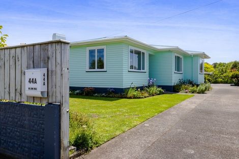 Photo of property in 44 Celia Street, Stratford, 4332