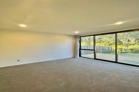 Photo of property in 47 Waka Street, Albany Heights, Auckland, 0632