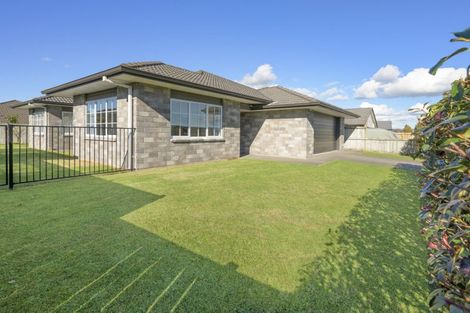 Photo of property in 60 Hastings Road, Pyes Pa, Tauranga, 3112