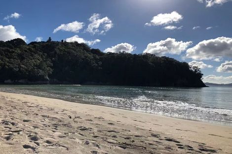 Photo of property in 939a Purangi Road, Cooks Beach, Whitianga, 3591
