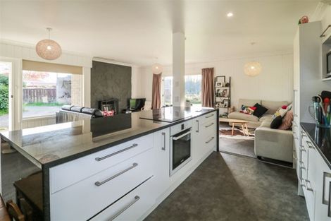 Photo of property in 119 Fitzroy Avenue, Fitzroy, Hamilton, 3206