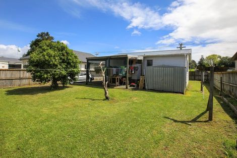 Photo of property in 21 Andrews Street, Paeroa, 3600