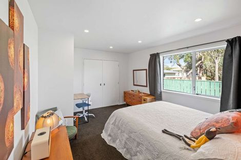 Photo of property in 24 Windsor Street, Terrace End, Palmerston North, 4410