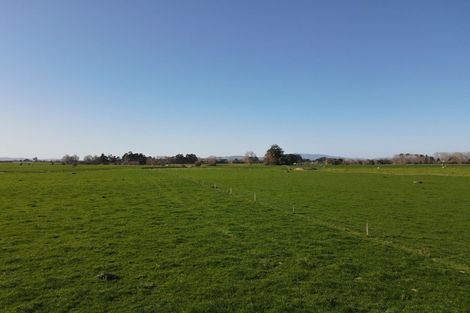 Photo of property in 91 Goodwin Road, Ohaupo, Cambridge, 3495