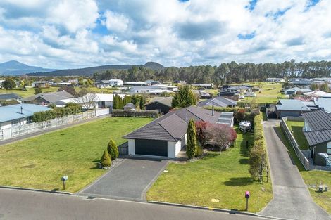 Photo of property in 134 Parekaawa Drive, Motuoapa, Turangi, 3382