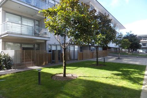 Photo of property in Revolucion Apartments, 105n/28 Torrens Terrace, Mount Cook, Wellington, 6011