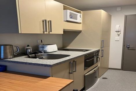 Photo of property in Dual Apartments, 108/142u Vivian Street, Te Aro, Wellington, 6011