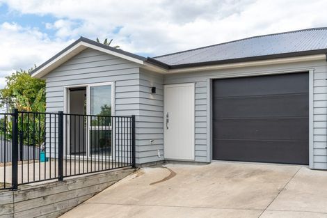 Photo of property in 18u3 Rothwell Street, Dinsdale, Hamilton, 3204