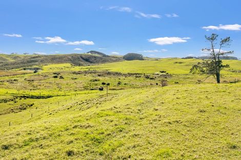 Photo of property in 402 Baylys Coast Road, Dargaville, 0377