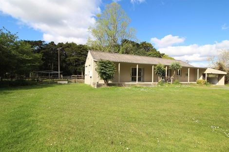 Photo of property in 186 Great North Road, Te Kamo, Kamo, 0185
