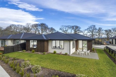 Photo of property in 65 Malone Crescent, Richmond, 7020