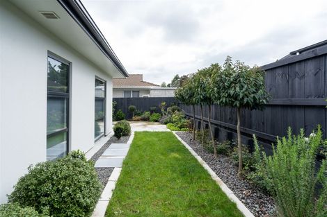 Photo of property in 1u2 Murray Street, Maeroa, Hamilton, 3200