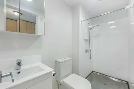 Photo of property in Vedado Apartments, 208/41u Hopper Street, Mount Cook, Wellington, 6011