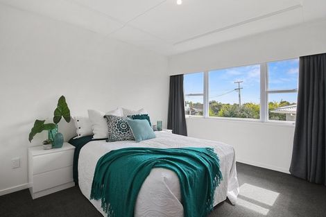 Photo of property in 183 Hill Street, Richmond, 7020