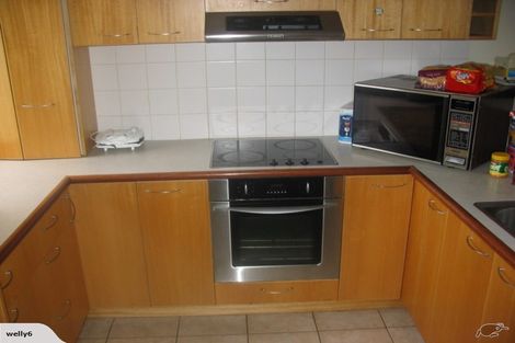 Photo of property in 191 Tasman Street, Mount Cook, Wellington, 6021