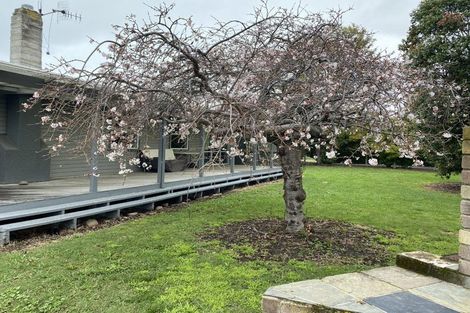 Photo of property in 21 Scarrott Road, Bay View, Napier, 4104