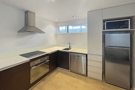 Photo of property in Revolucion Apartments, 303n/28 Torrens Terrace, Mount Cook, Wellington, 6011