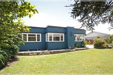 Photo of property in 42 Mckenzie Street, Levin, 5510