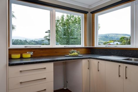 Photo of property in 39 Signal Hill Road, Opoho, Dunedin, 9010
