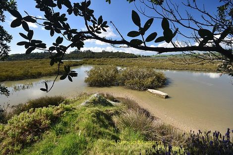 Photo of property in 245 Metcalfe Road, Matakohe, 0593