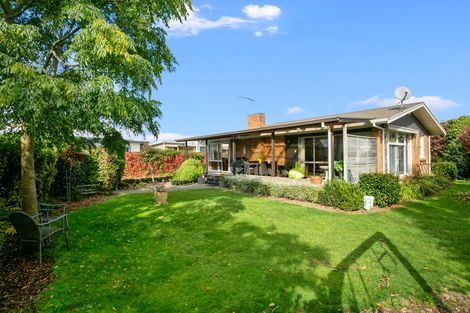 Photo of property in 35 Grosvenor Street, Cambridge, 3434