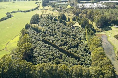Photo of property in 159 Walker Road East, Aongatete, Katikati, 3178
