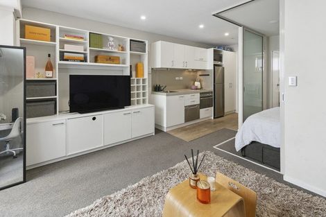 Photo of property in Soho Apartments, 520/74 Taranaki Street, Te Aro, Wellington, 6011