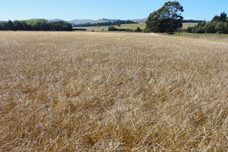 Photo of property in 62 Nonoti Road, Cheviot, 7383